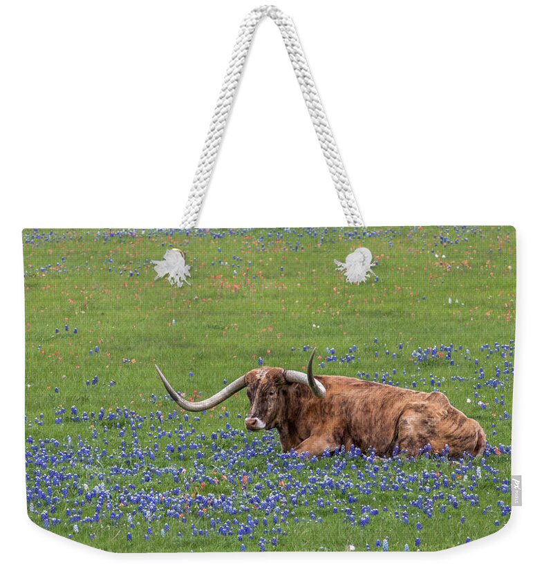 Texas Longhorn Weekender Tote Bag featuring the photograph Texas Longhorn and Bluebonnets by Robert Bellomy