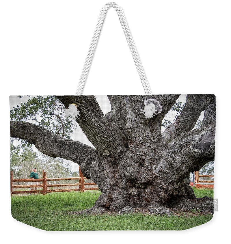 Texas Weekender Tote Bag featuring the photograph Texas State Champion Live Oak by Mary Lee Dereske