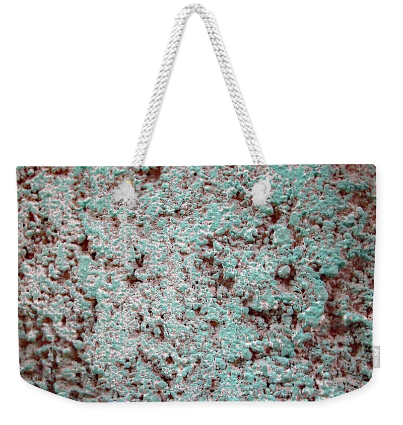 Texture Weekender Tote Bag featuring the photograph Texture No. 5-1 by Sandy Taylor