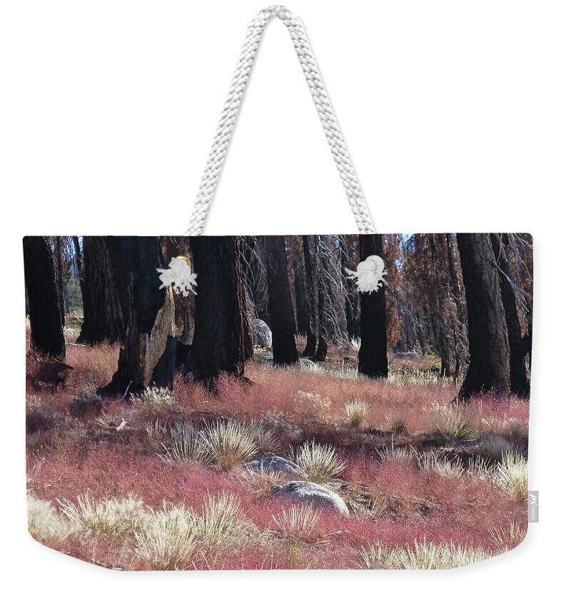 Forest Fire Weekender Tote Bag featuring the photograph Texture of Recovery by Amelia Racca