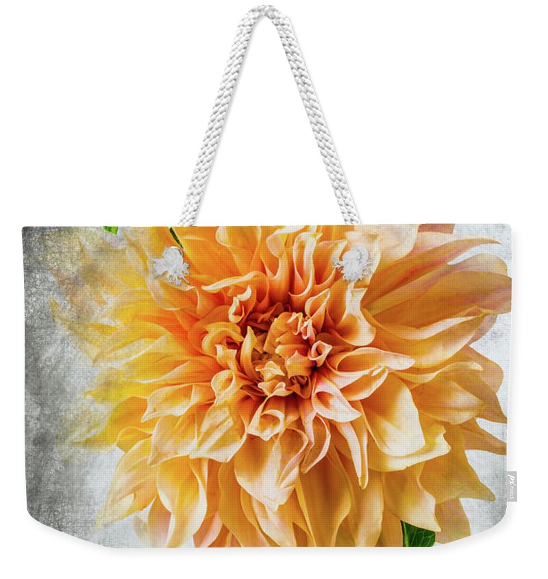 Color Weekender Tote Bag featuring the photograph Textured Dahlia Beauty by Garry Gay