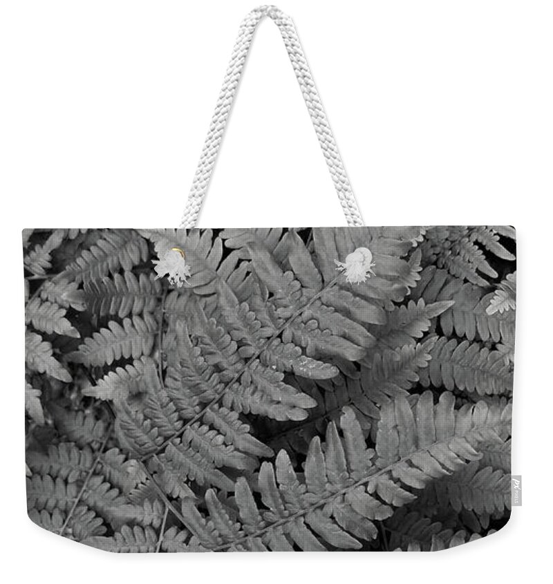 Fern Weekender Tote Bag featuring the photograph Textures of the Forest by Holly Ross