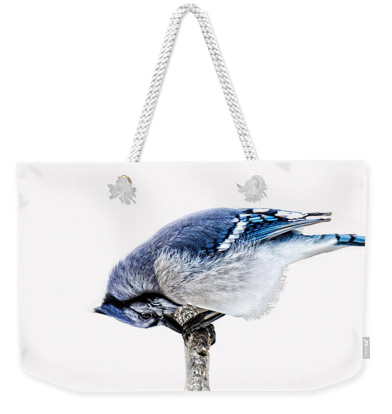 Blue Weekender Tote Bag featuring the photograph Thank You For This Food by Skip Tribby