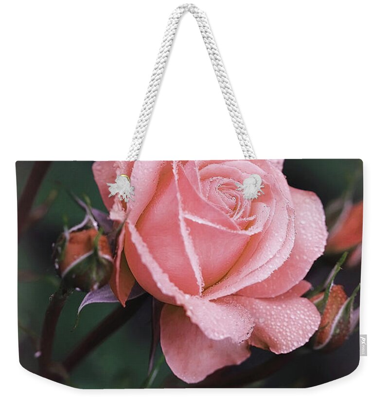 Rose Weekender Tote Bag featuring the photograph Thankful by Vanessa Thomas