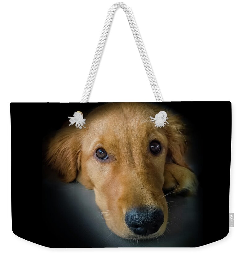 Golden Retriever Puppies Weekender Tote Bag featuring the photograph Thanks For Picking Me by Karen Wiles