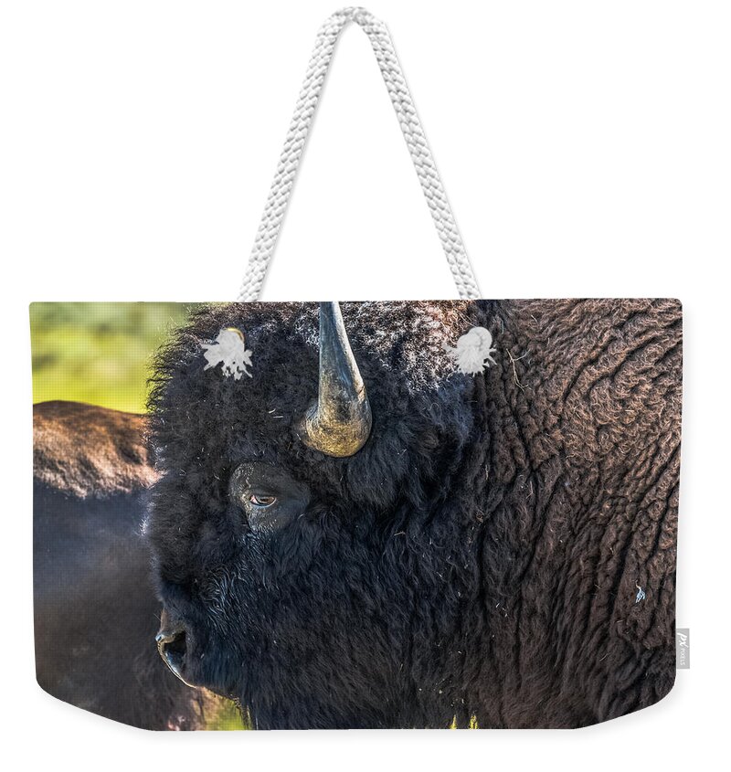 Bison Weekender Tote Bag featuring the photograph That Dusty Migration by Yeates Photography