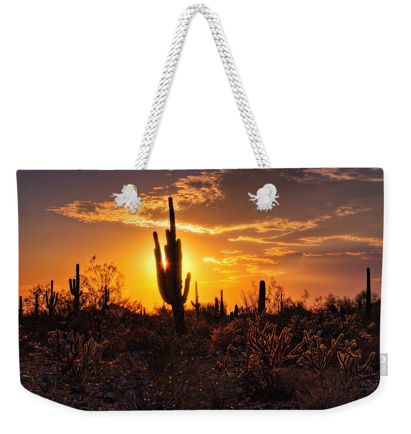 Saguaro Sunset Weekender Tote Bag featuring the photograph That Golden Desert Light by Saija Lehtonen