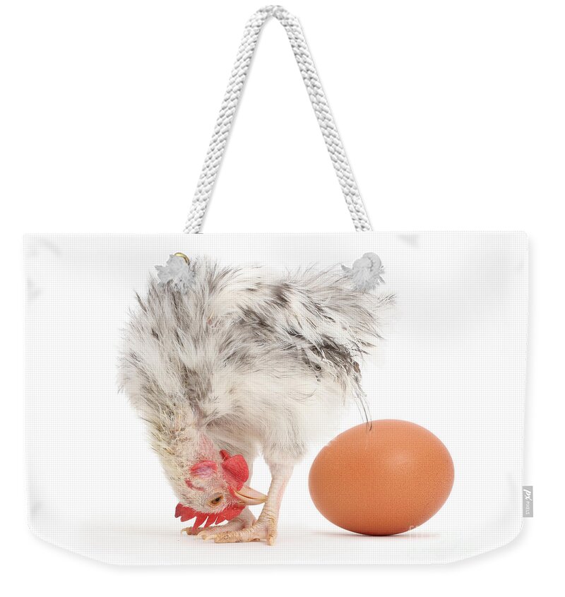 Serama Chicken Weekender Tote Bag featuring the photograph That's eggstraordinary by Warren Photographic