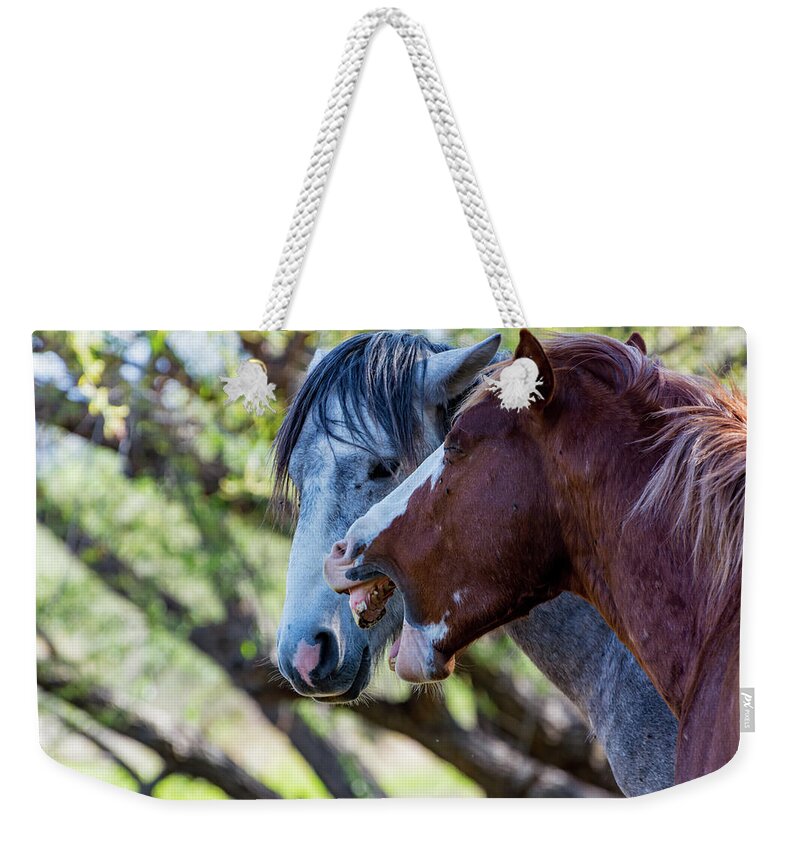 Horse Weekender Tote Bag featuring the photograph That's What She Said by Douglas Killourie