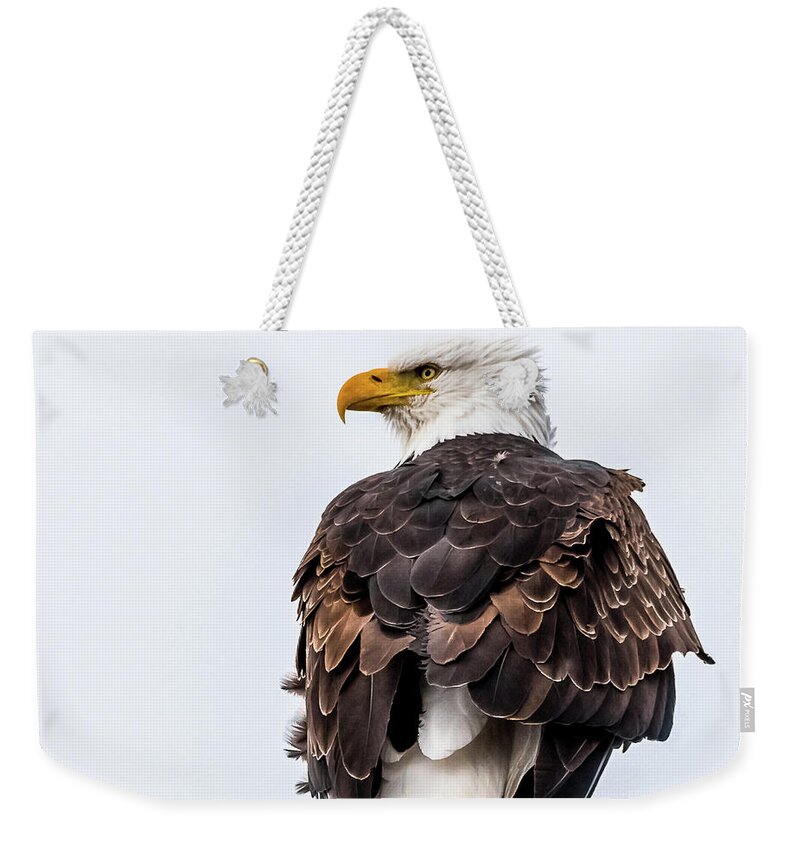 American Bald Eagle Weekender Tote Bag featuring the photograph The Alert by Yeates Photography