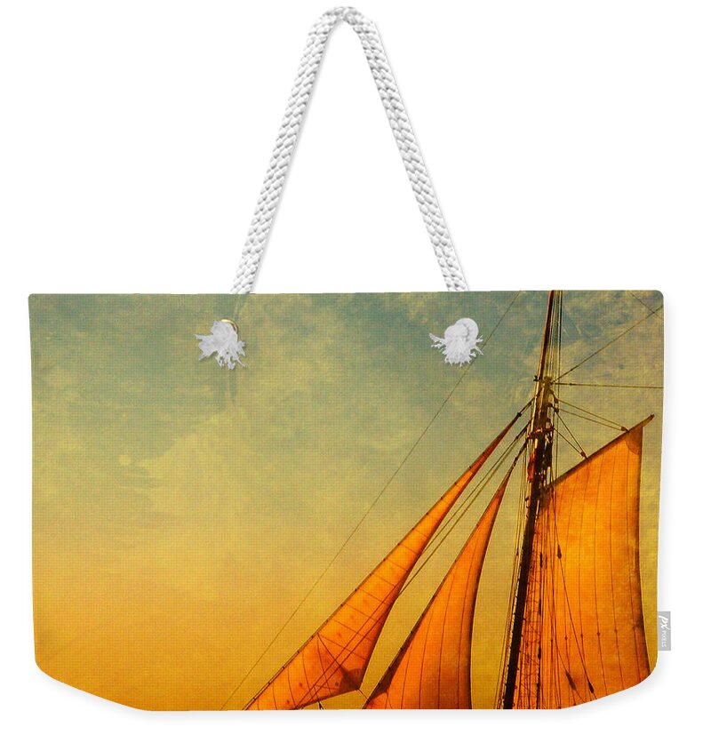 The America Weekender Tote Bag featuring the photograph The America Nr 3 by Susanne Van Hulst