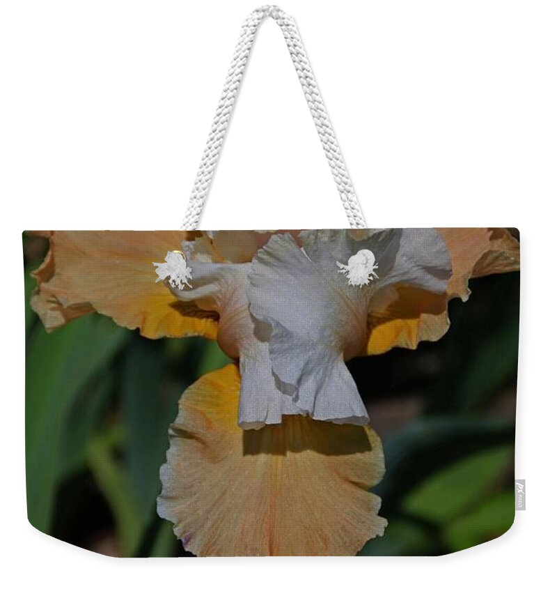 Iris Weekender Tote Bag featuring the photograph The Angel in My Arms- vertical by Michiale Schneider