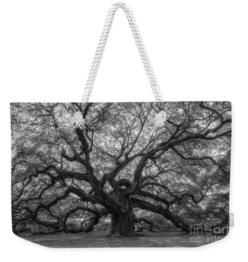 Angel Oak Tree Weekender Tote Bag featuring the photograph The Angel Oak Tree BW by Michael Ver Sprill