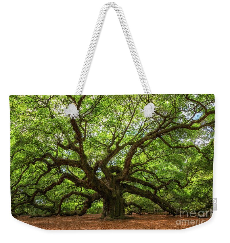 Angel Oak Tree Weekender Tote Bag featuring the photograph The Angel Oak Tree by Michael Ver Sprill