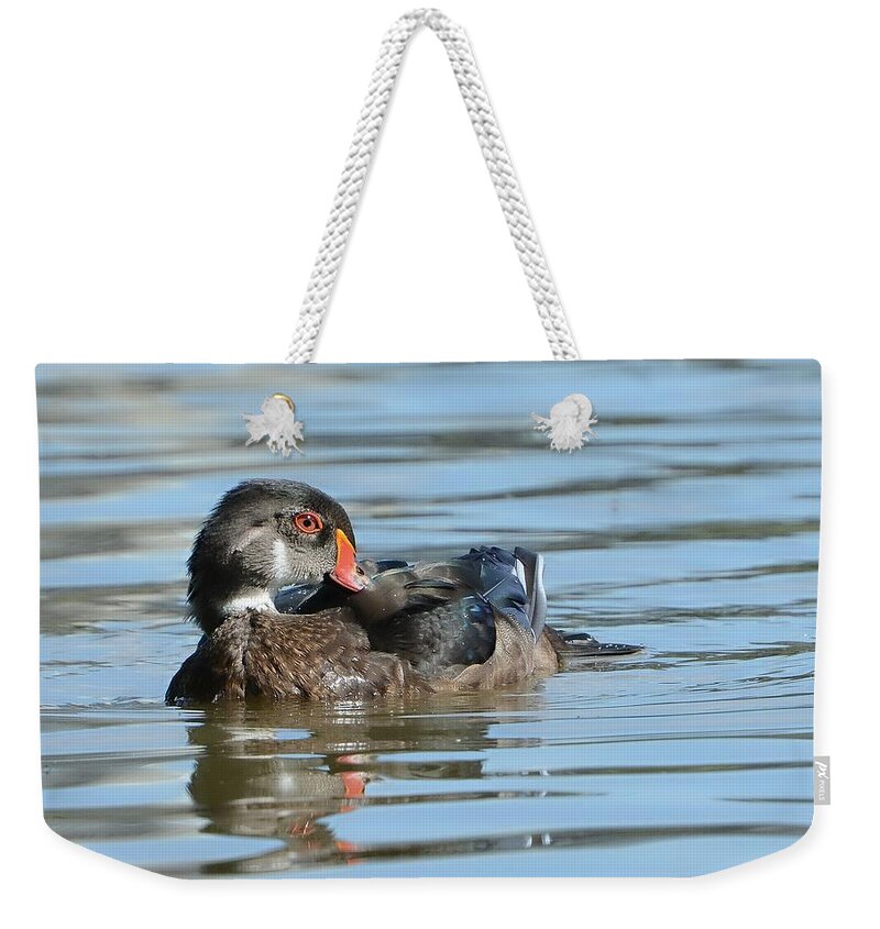 Wood Duck Weekender Tote Bag featuring the photograph The Art Of Preening by Fraida Gutovich