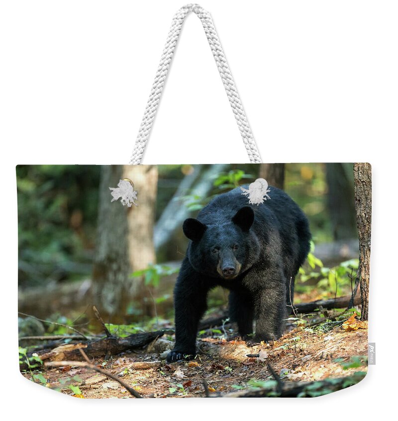 Bear Weekender Tote Bag featuring the photograph The Bear by Everet Regal