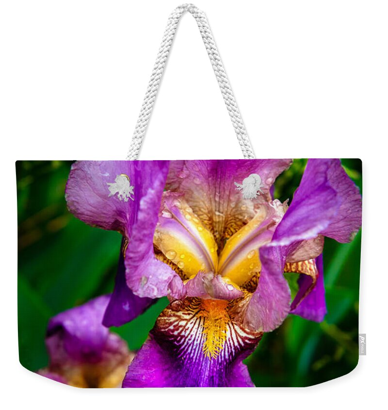 Iris Weekender Tote Bag featuring the photograph The Beautiful Iris by Robert Bales