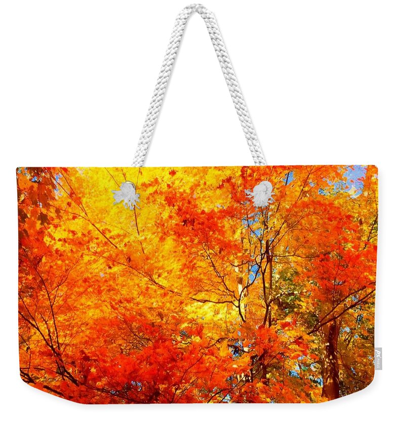 Trees Weekender Tote Bag featuring the painting The Beauty Of Autumn by MaryLee Parker