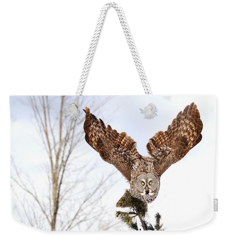 Owl Weekender Tote Bag featuring the photograph The Becoming of The Queen by Heather King