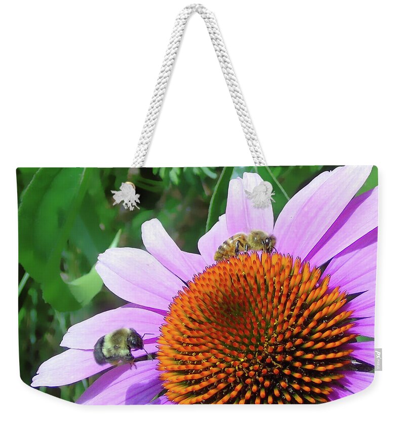Macro Weekender Tote Bag featuring the photograph The Bees Feast by Susan Lafleur