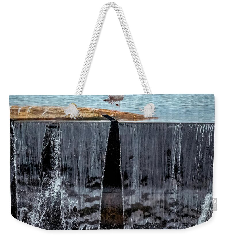The Bird Weekender Tote Bag featuring the photograph The bird over waterfall by Lilia S