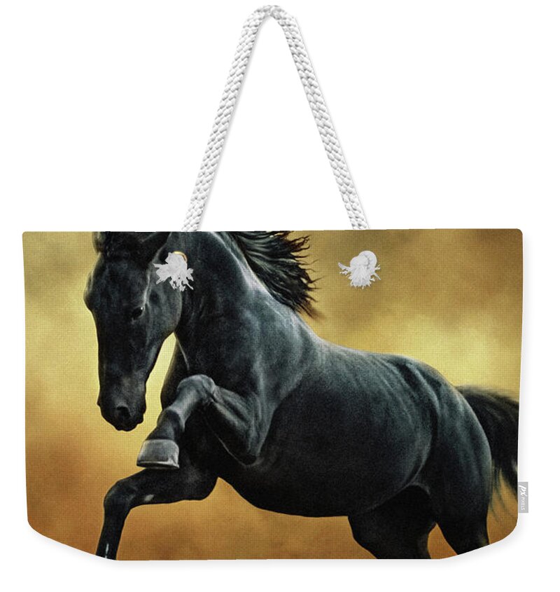 Horse Weekender Tote Bag featuring the photograph The Black Stallion in Dust II by Dimitar Hristov