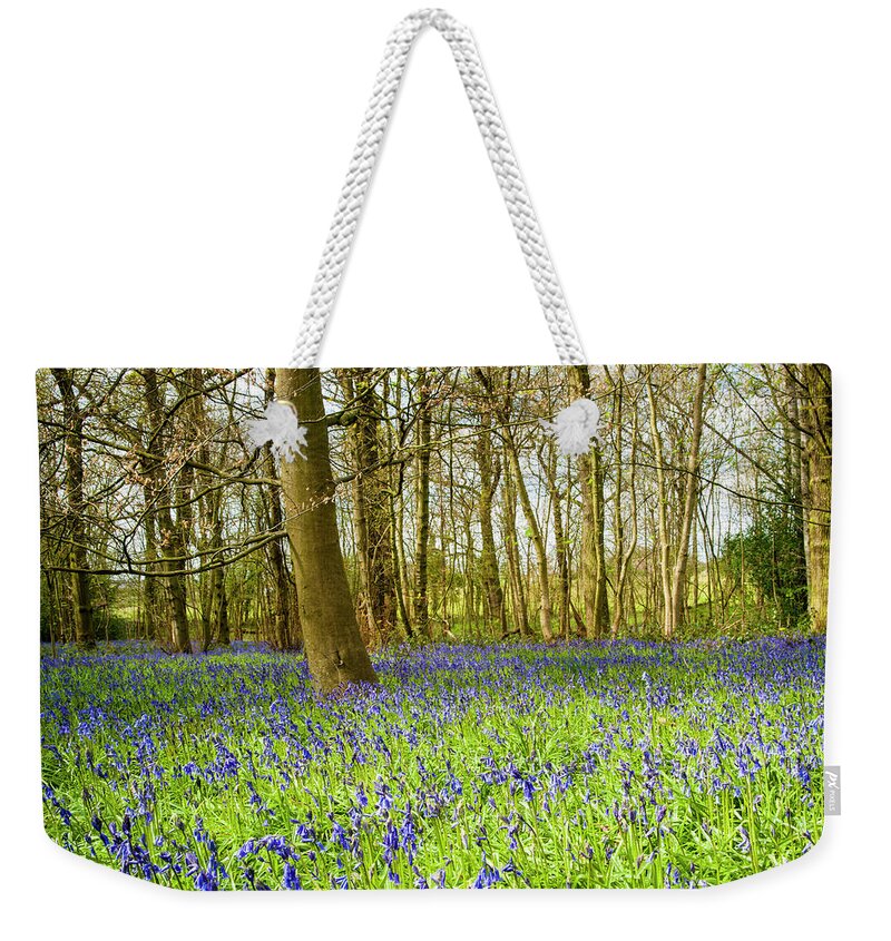Bluebell Weekender Tote Bag featuring the photograph The Bluebell wood in spring. by John Paul Cullen