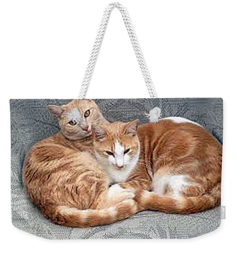 Cat Weekender Tote Bag featuring the photograph The Boys by Bob Johnson
