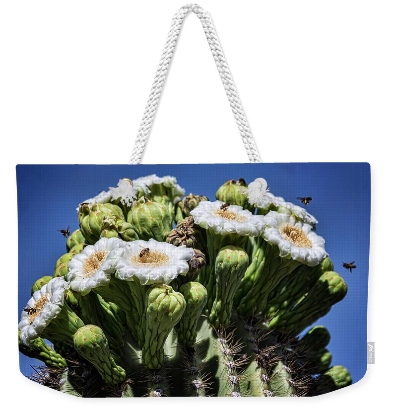 Saguaro Cactus Weekender Tote Bag featuring the photograph The Busy Little Bees on the Saguaro Blossoms by Saija Lehtonen