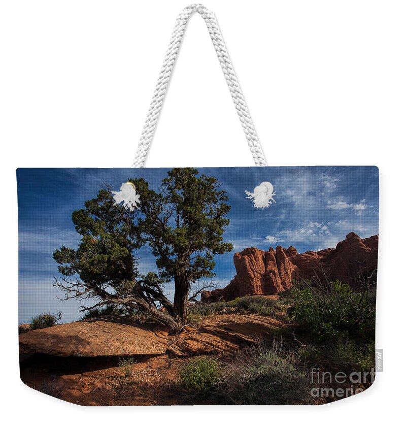Utah Weekender Tote Bag featuring the photograph The Canyon Trail by Jim Garrison