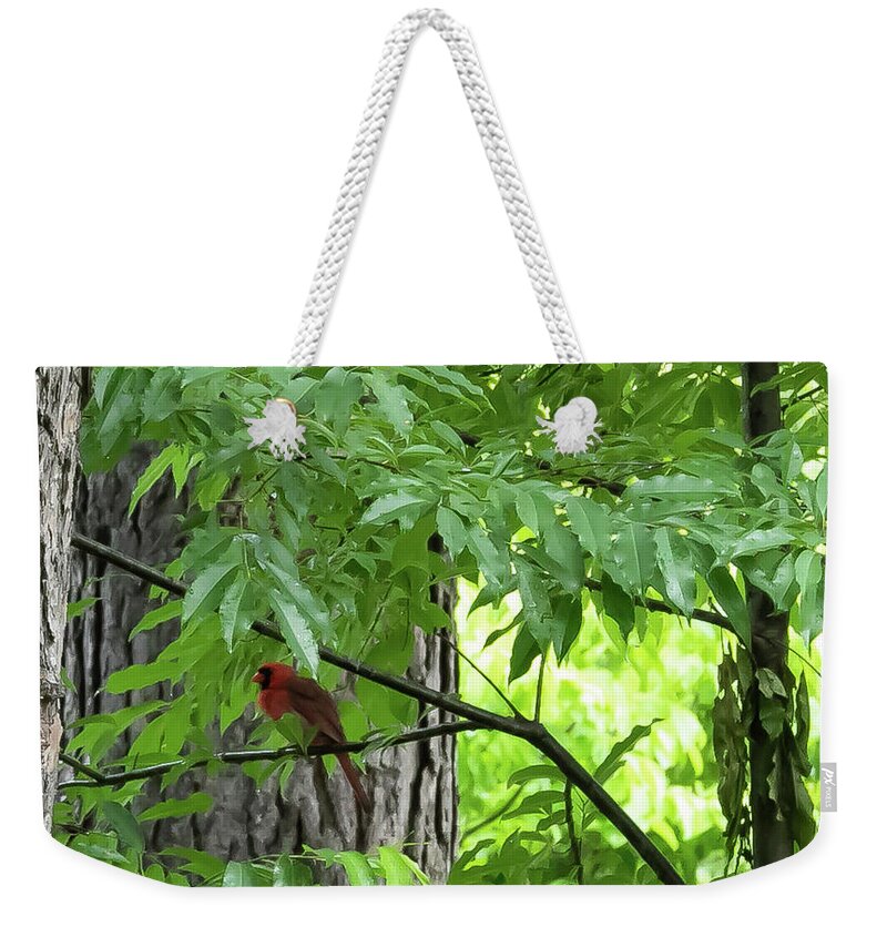 Bird Weekender Tote Bag featuring the digital art The Cardinal in the Woods by Ed Stines