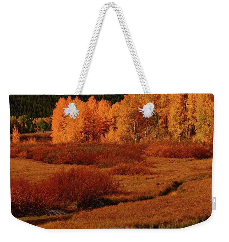 The Cathedral Group From North Of Oxbow Bend Weekender Tote Bag featuring the photograph The Cathedral Group from North of Oxbow Bend by Raymond Salani III