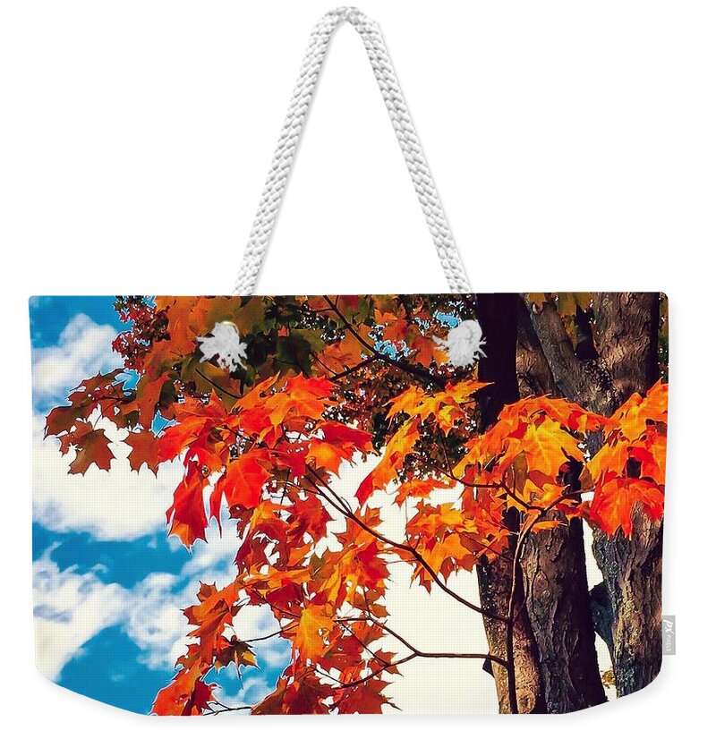 Photograph Weekender Tote Bag featuring the photograph The changing by MaryLee Parker