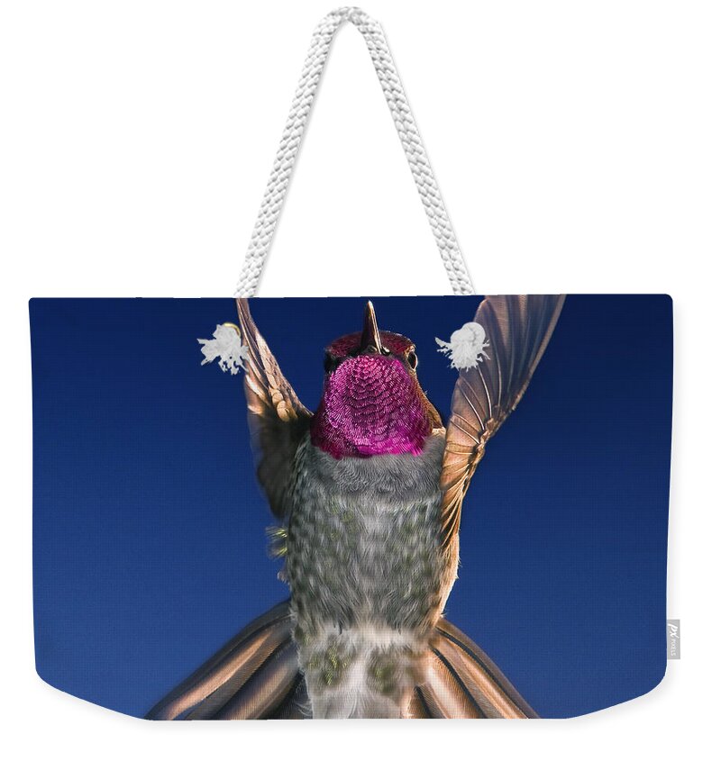 Hummingbird Weekender Tote Bag featuring the photograph The Conductor of Hummer Air Orchestra by William Lee