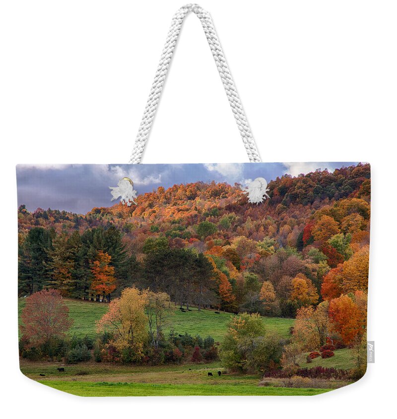 Pomfret Vermont Weekender Tote Bag featuring the photograph The cows are in the dell by Jeff Folger