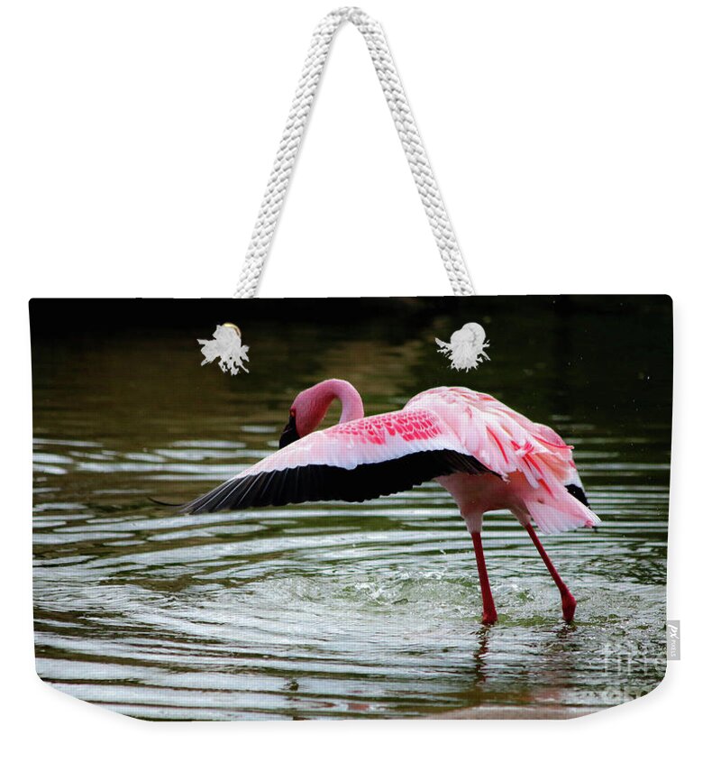 Dance Weekender Tote Bag featuring the photograph The Dance by Veronica Batterson
