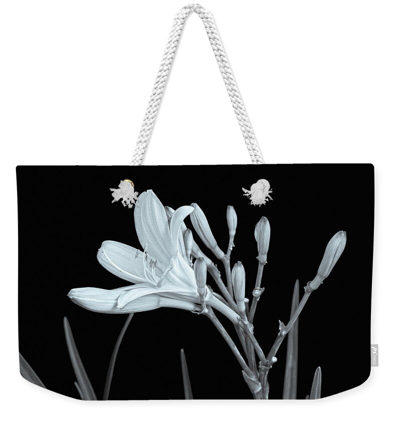 Lily Weekender Tote Bag featuring the photograph The Dark Night Of The Soul Is A Journey From Darkness To Your Latent Inner Strength. by Bijan Pirnia