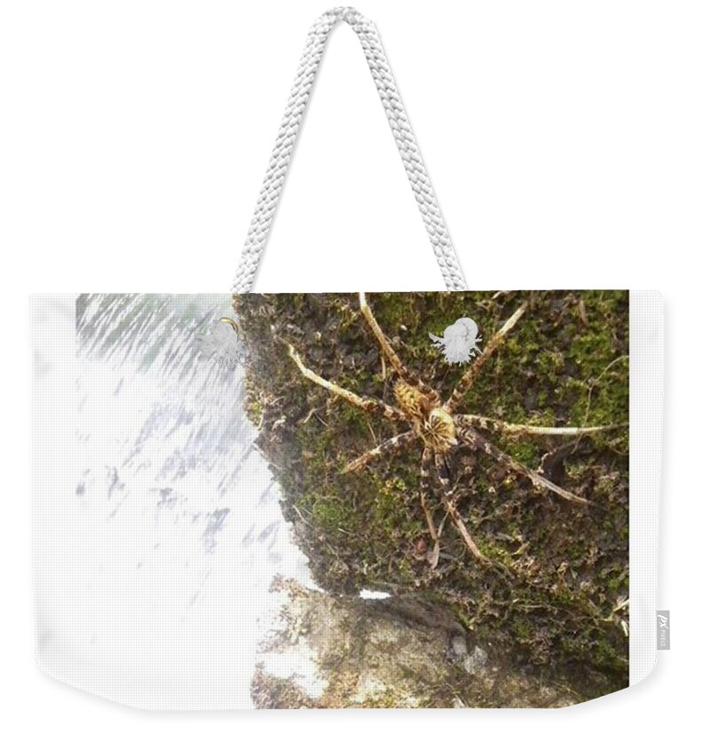 Life Weekender Tote Bag featuring the photograph The Day Of The by David Cardona