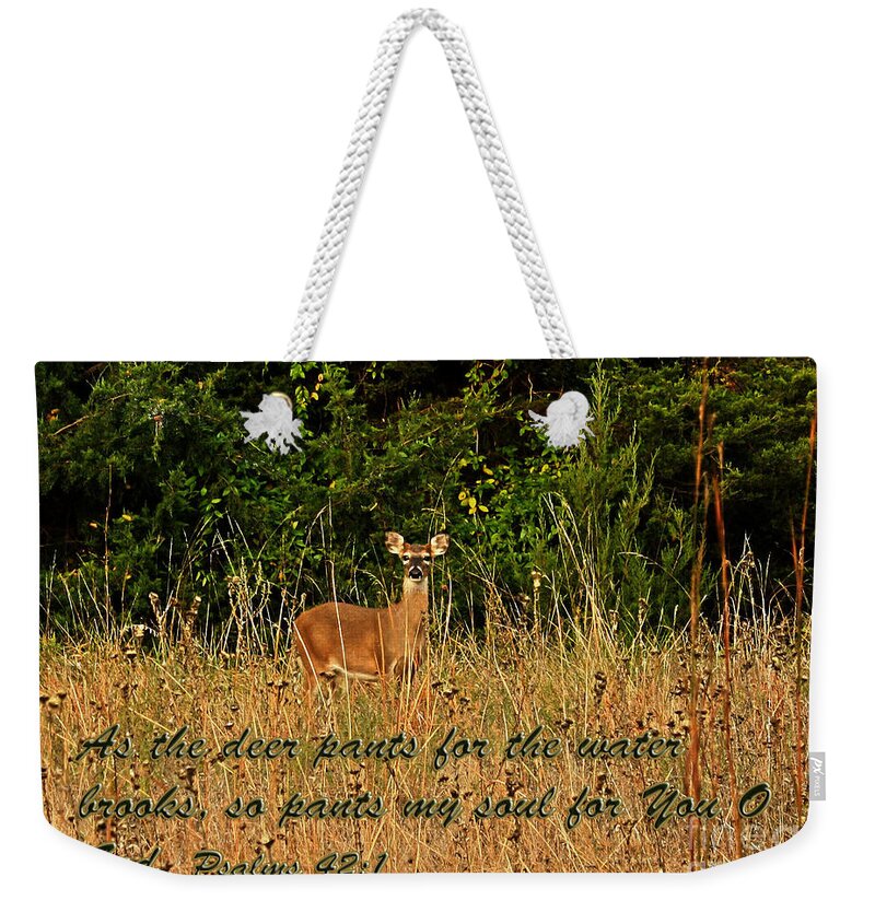 A Curious Doe On An Autumn Morning With Scripture. Weekender Tote Bag featuring the photograph The Deer by Barbara Dean
