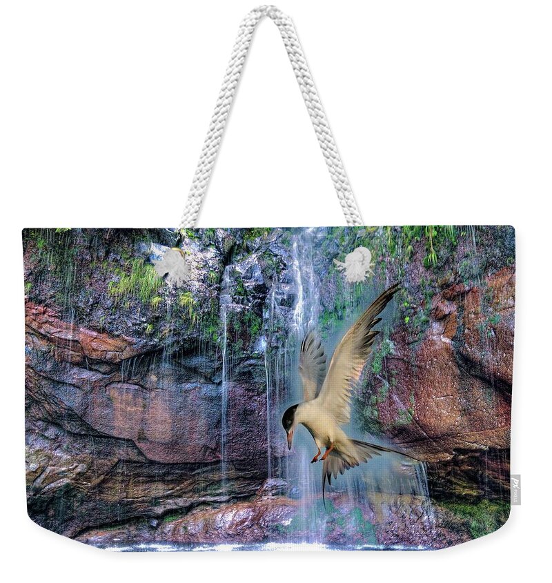 Bird Weekender Tote Bag featuring the photograph The Dive by Patricia Dennis