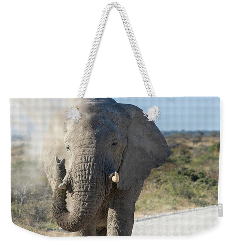Wildlife Weekender Tote Bag featuring the photograph The Dust Bath - Namibia, Africa by Sandra Bronstein