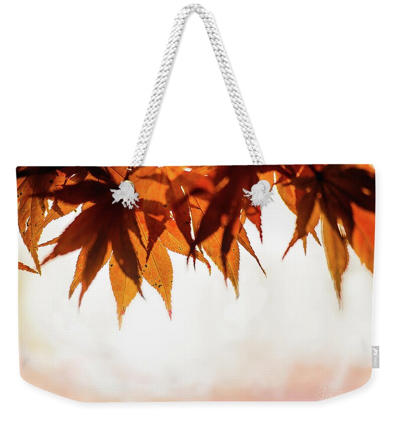 Landscape Weekender Tote Bag featuring the photograph The Eaves Of Season by Gene Garnace