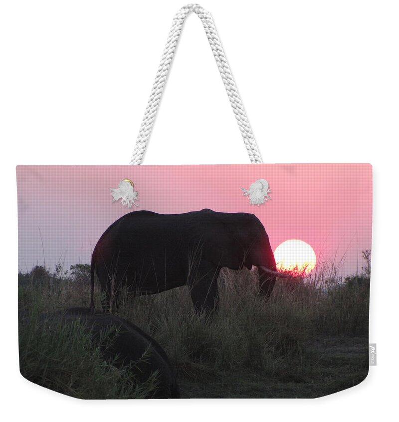 Elephant Weekender Tote Bag featuring the photograph The Elephant and the Sun by David Bader