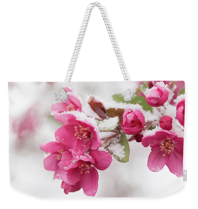 Spring Weekender Tote Bag featuring the photograph The End of Winter by Ana V Ramirez