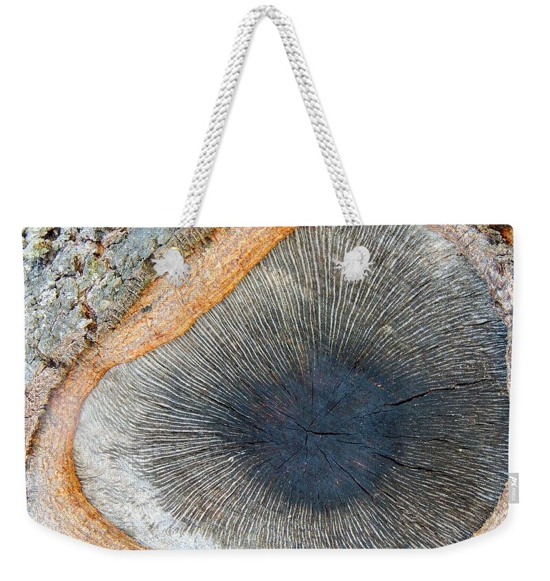 Abstract Weekender Tote Bag featuring the photograph Eye of The Tree by Denise Clark