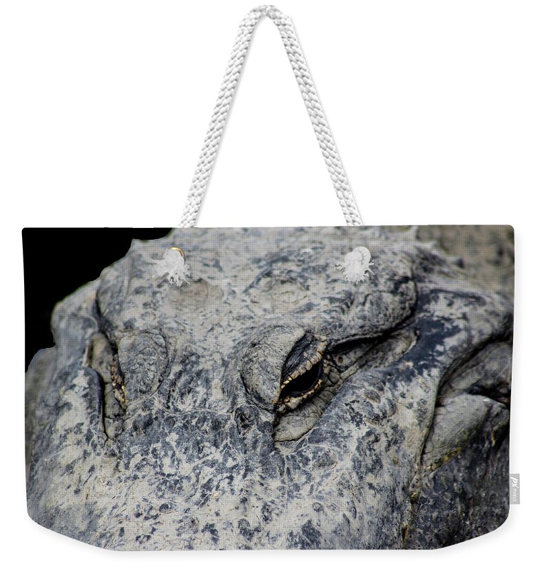 Photo For Sale Weekender Tote Bag featuring the photograph The Eyes of Age by Robert Wilder Jr