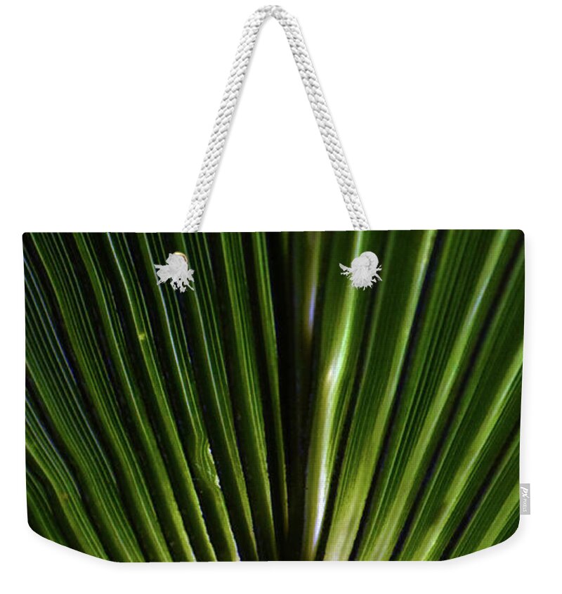 Plants Weekender Tote Bag featuring the photograph The Fan by Skip Willits