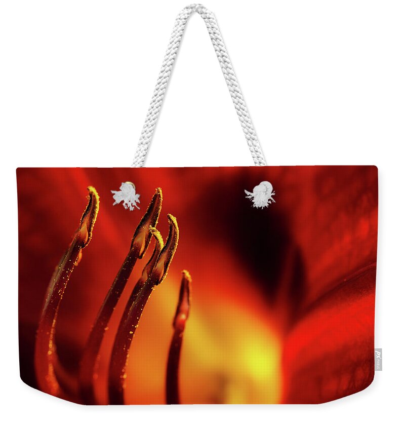 Lily Weekender Tote Bag featuring the photograph The Fire Within by Mike Eingle