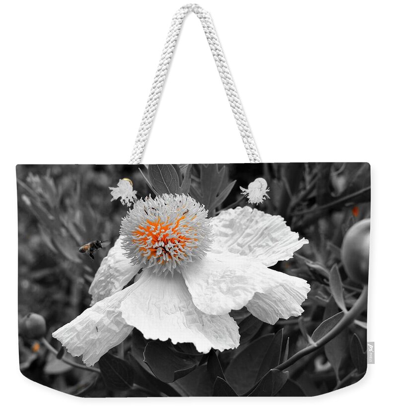 Romneya Flower Weekender Tote Bag featuring the photograph The Fire Within by Yolanda Caporn