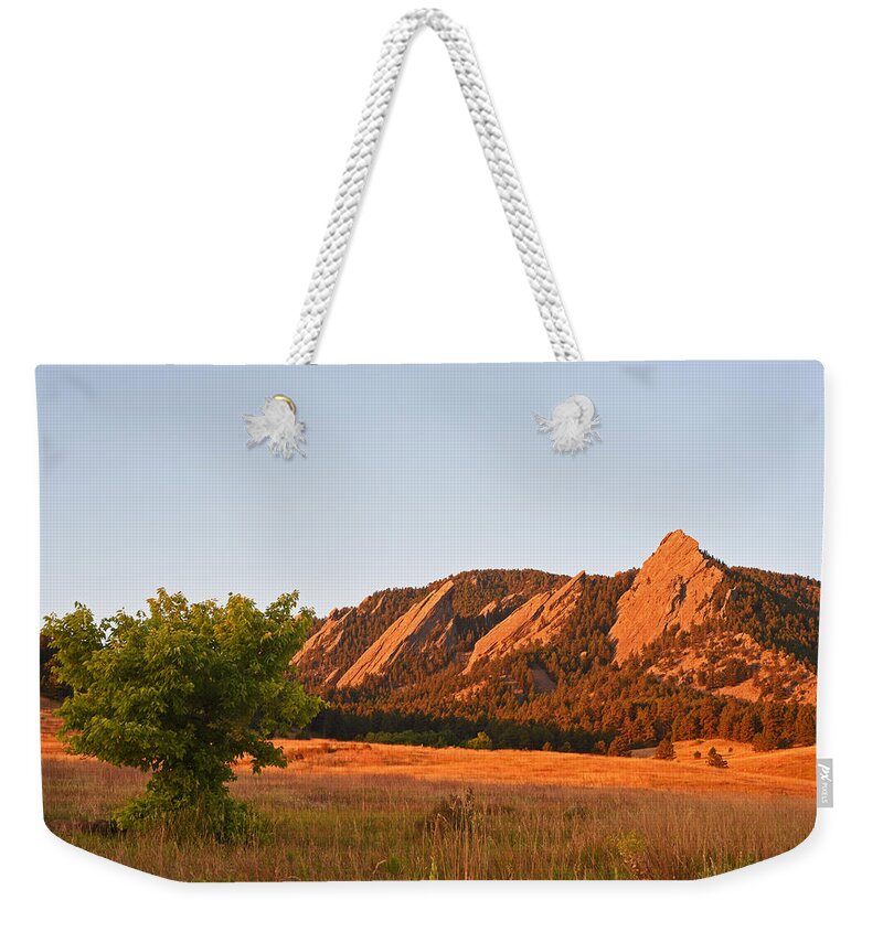Boulder Weekender Tote Bag featuring the photograph The Flatirons Boulder Colorado from Chautauqua Park Tree by Toby McGuire